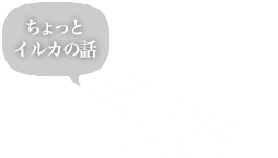 ちょっとイルカの話